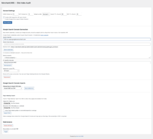 Settings / Google Search Console